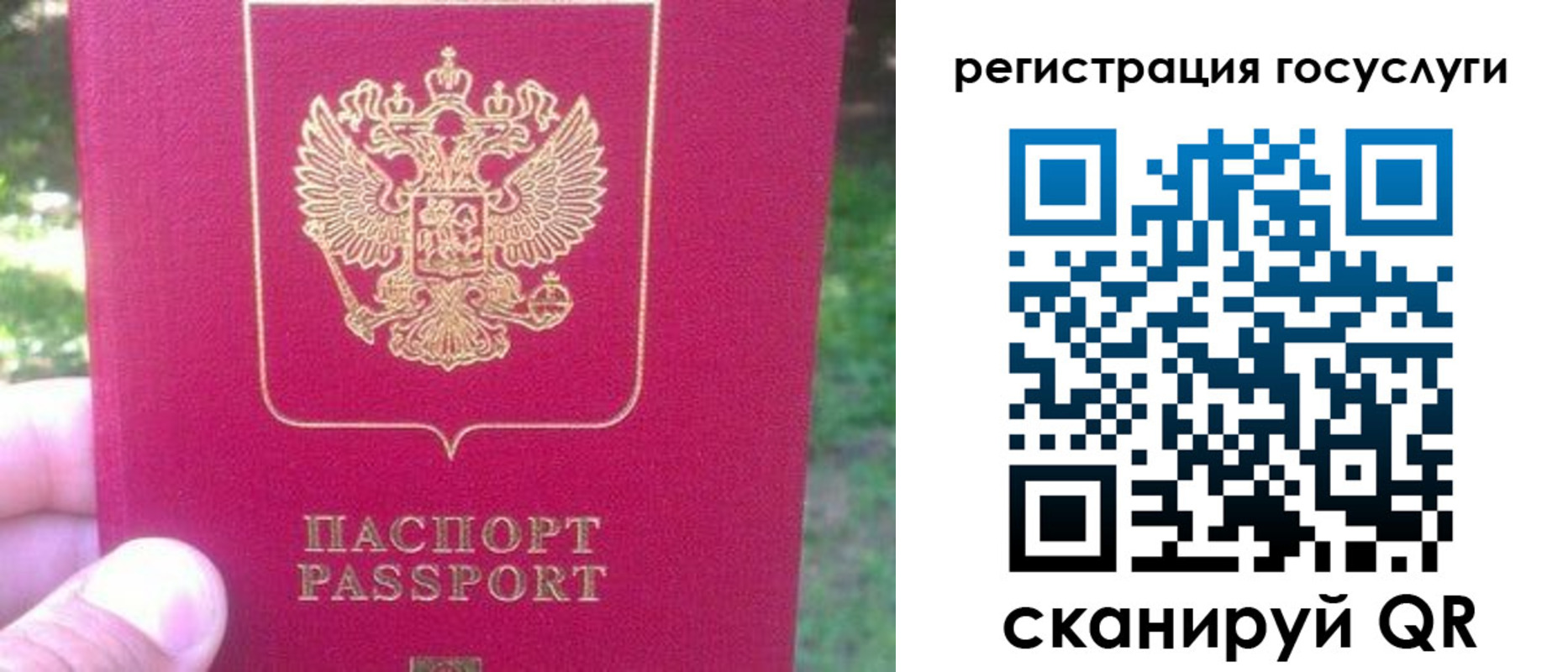 временная прописка в Родниках
